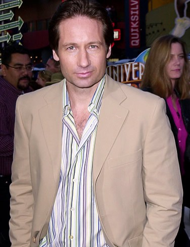 David Duchovny fotoğrafı