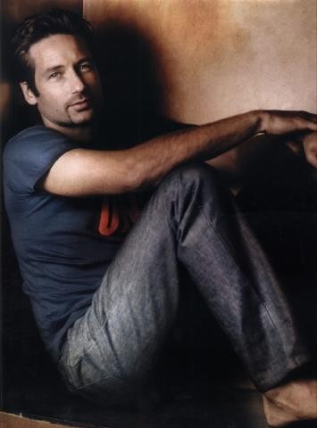 David Duchovny fotoğrafı
