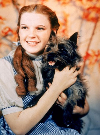 Judy Garland Fotoğrafı