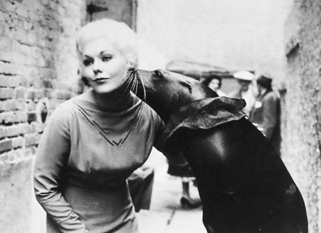 Kim Novak Fotoğrafı
