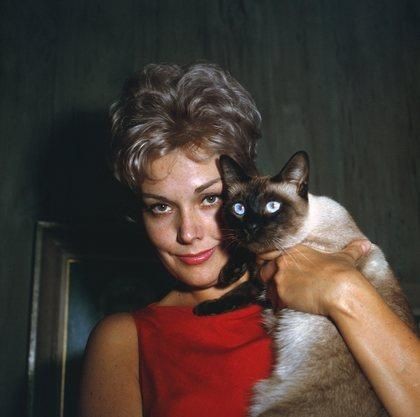 Kim Novak Fotoğrafı