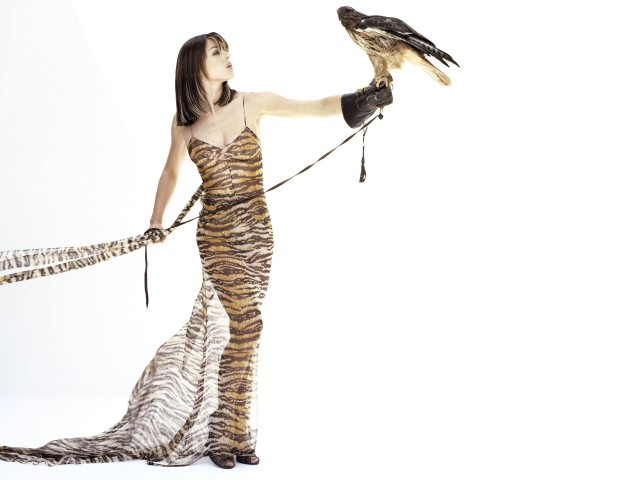 Elizabeth Hurley Fotoğrafı