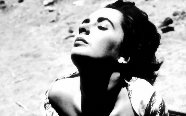 Elizabeth Taylor Fotoğrafı