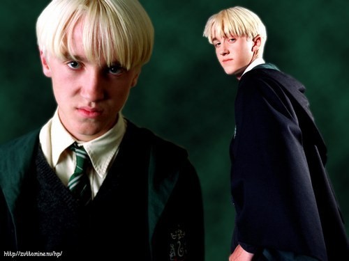 Tom Felton Fotoğrafı