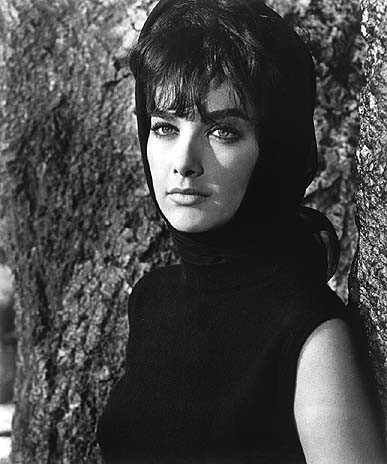 Suzanne Pleshette fotoğrafı
