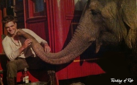 Robert Pattinson Fotoğrafı