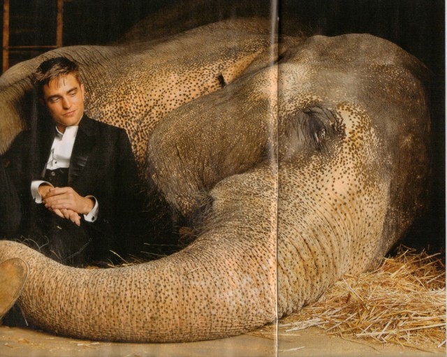 Robert Pattinson Fotoğrafı