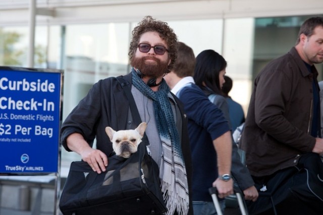 Zach Galifianakis Fotoğrafı