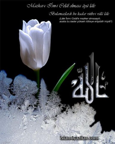 Marton Csokas fotoğrafı