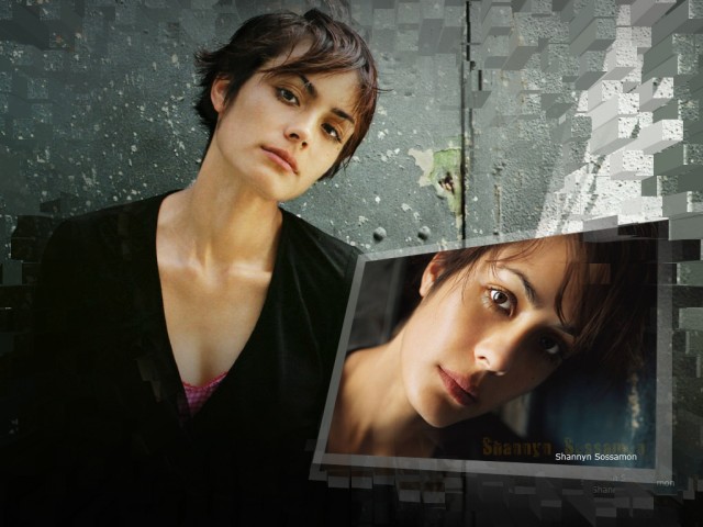 Shannyn Sossamon Fotoğrafı