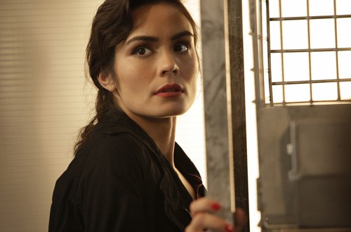 Shannyn Sossamon Fotoğrafı