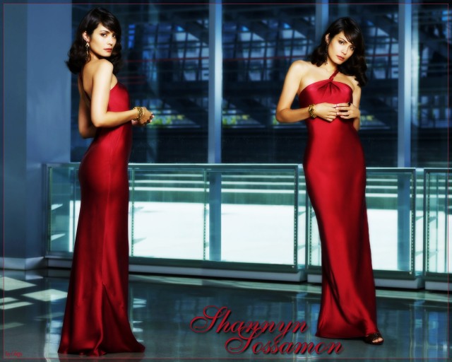 Shannyn Sossamon Fotoğrafı