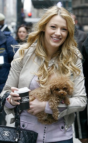 Blake Lively Fotoğrafı