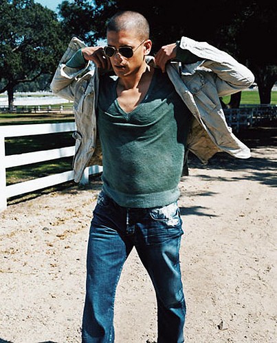 Wentworth Miller Fotoğrafı