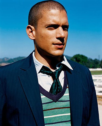 Wentworth Miller Fotoğrafı