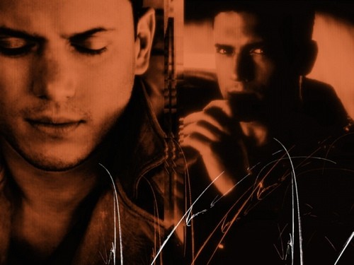 Wentworth Miller Fotoğrafı