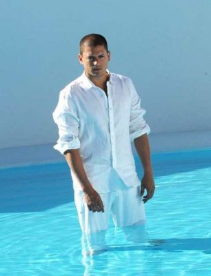 Wentworth Miller Fotoğrafı