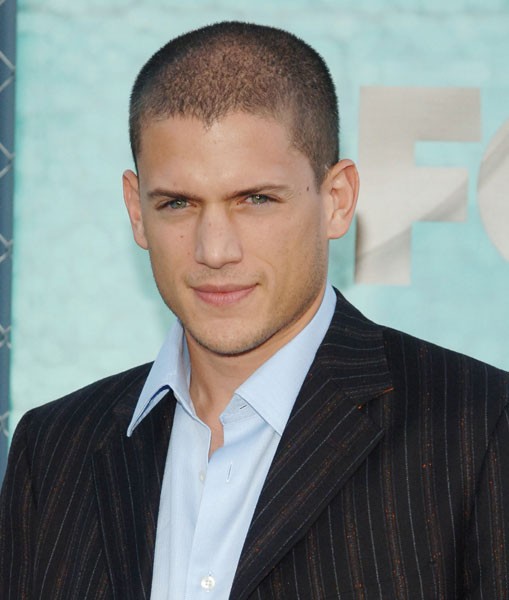 Wentworth Miller Fotoğrafı