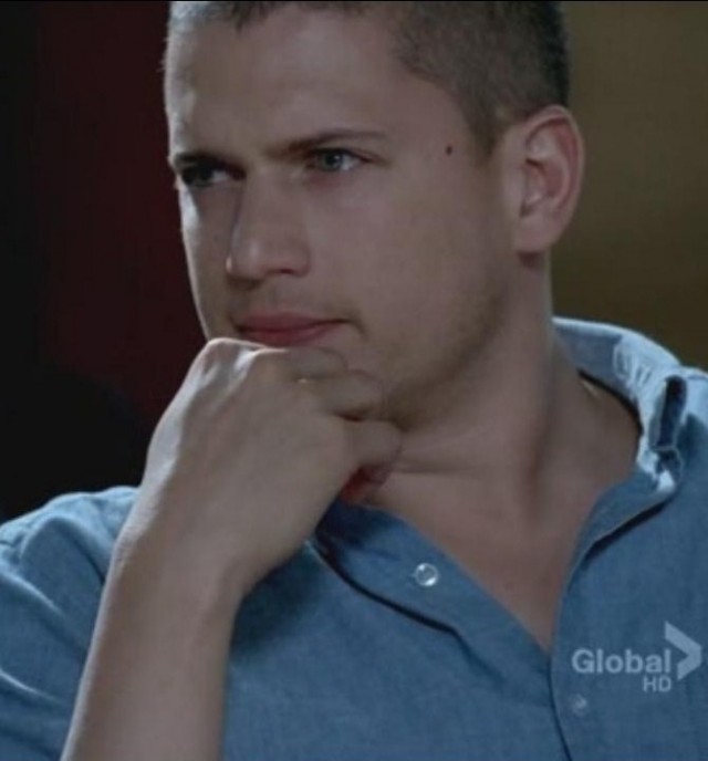 Wentworth Miller Fotoğrafı