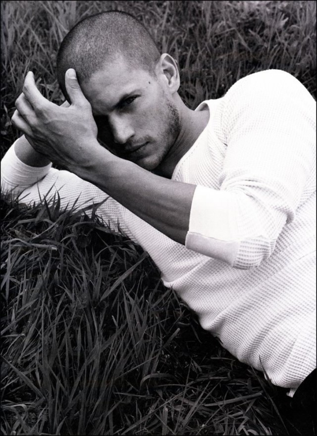 Wentworth Miller Fotoğrafı