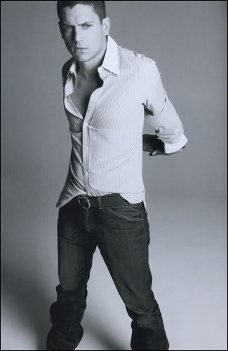 Wentworth Miller Fotoğrafı