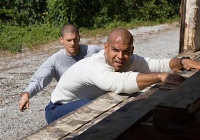 Wentworth Miller Fotoğrafı