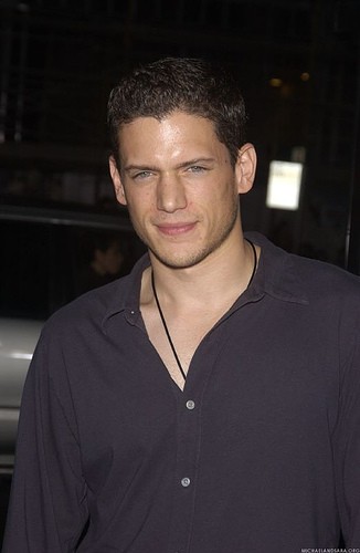 Wentworth Miller Fotoğrafı