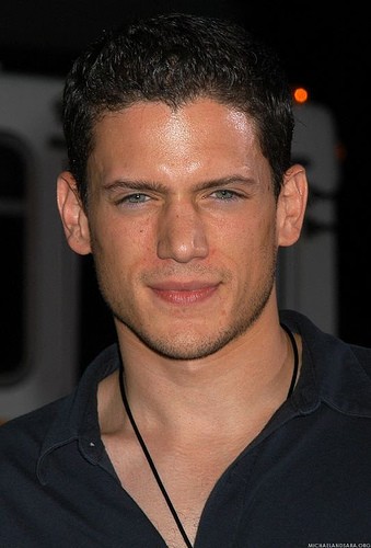 Wentworth Miller Fotoğrafı