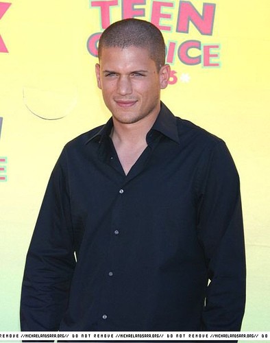 Wentworth Miller Fotoğrafı