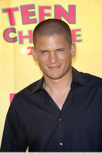 Wentworth Miller Fotoğrafı