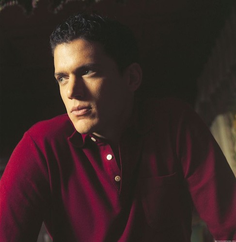 Wentworth Miller Fotoğrafı