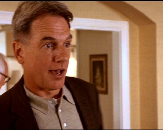 Mark Harmon Fotoğrafı