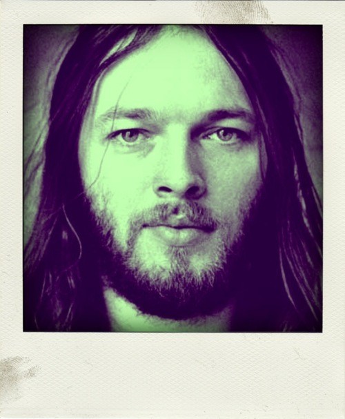 David Gilmour Fotoğrafı