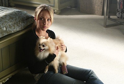 Hayden Panettiere Fotoğrafı