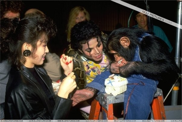 Michael Jackson Fotoğrafı