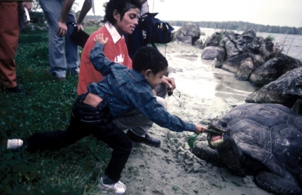 Michael Jackson Fotoğrafı