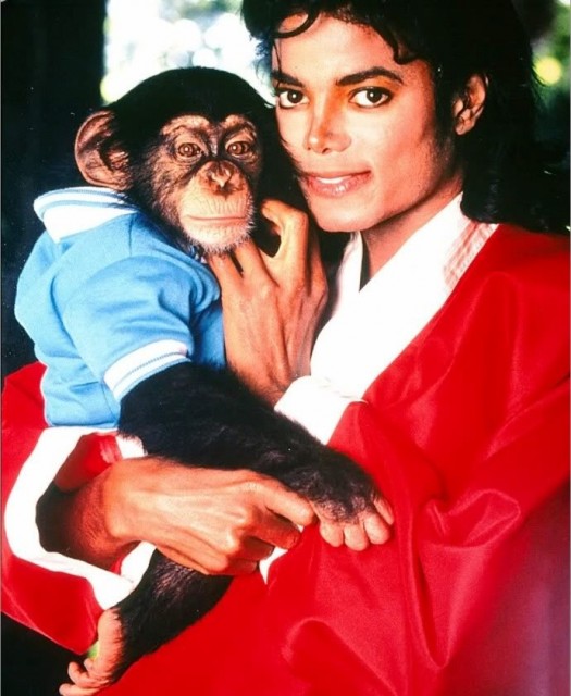 Michael Jackson Fotoğrafı