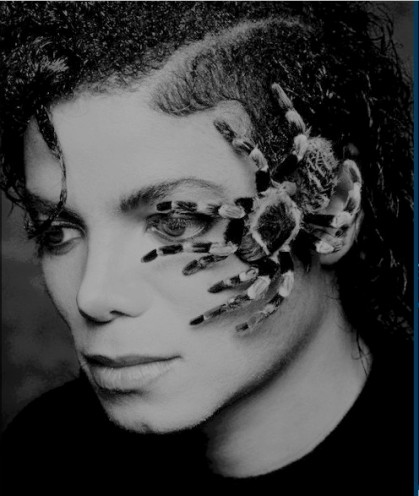 Michael Jackson Fotoğrafı