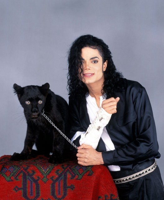 Michael Jackson Fotoğrafı