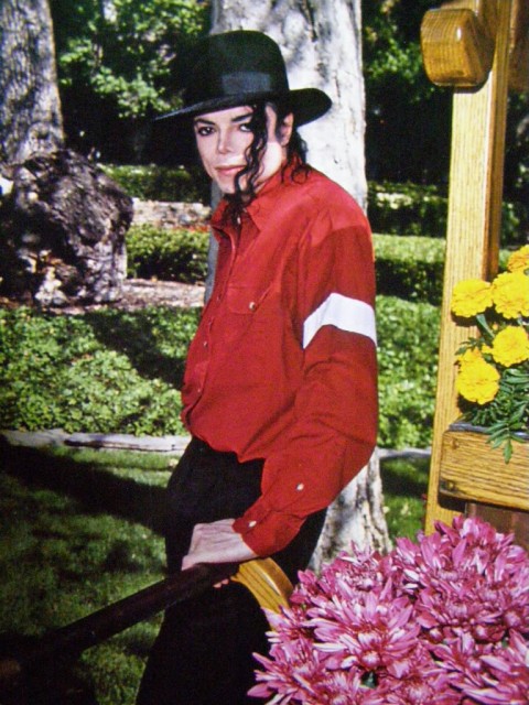 Michael Jackson Fotoğrafı