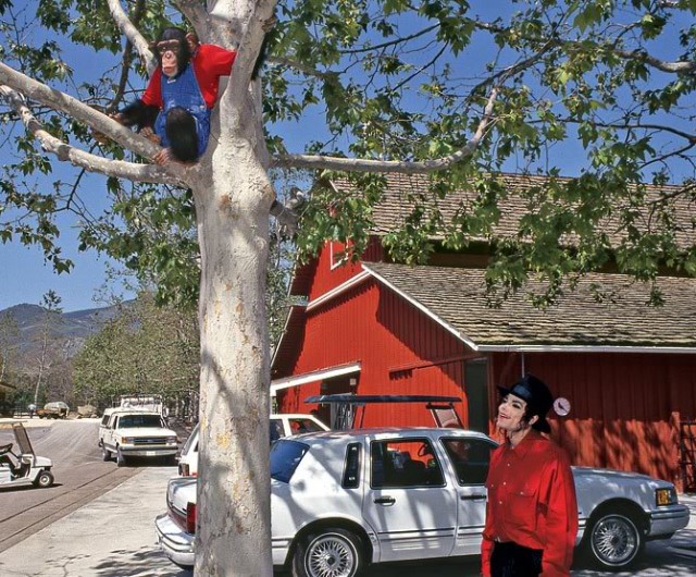 Michael Jackson Fotoğrafı
