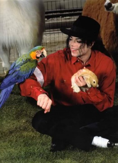 Michael Jackson Fotoğrafı