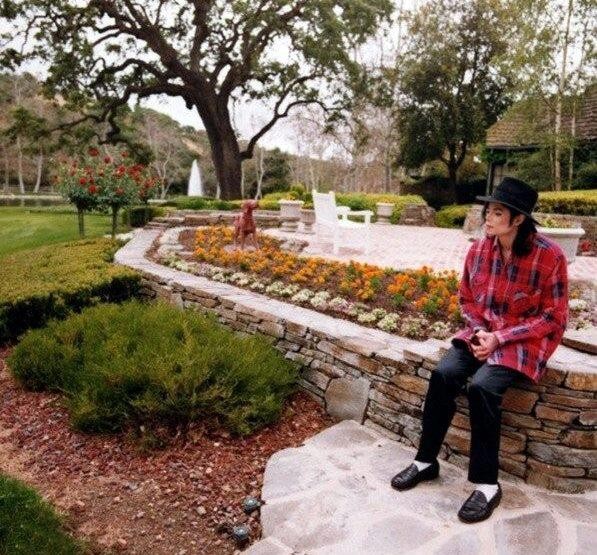 Michael Jackson Fotoğrafı