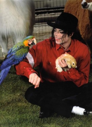 Michael Jackson Fotoğrafı