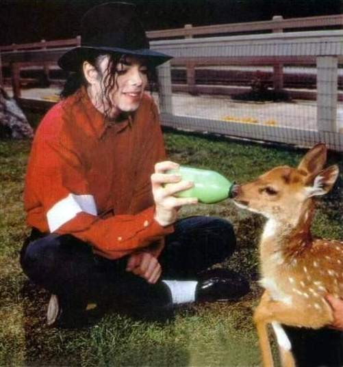 Michael Jackson Fotoğrafı