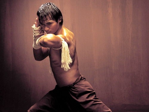 Tony Jaa fotoğrafı