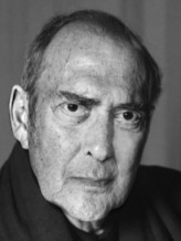 Harold Pinter fotoğrafı