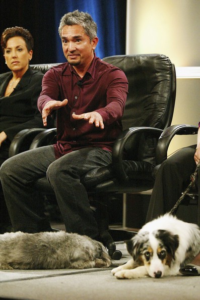 Cesar Millan Fotoğrafı