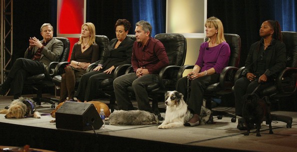 Cesar Millan Fotoğrafı