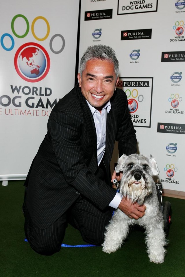 Cesar Millan Fotoğrafı